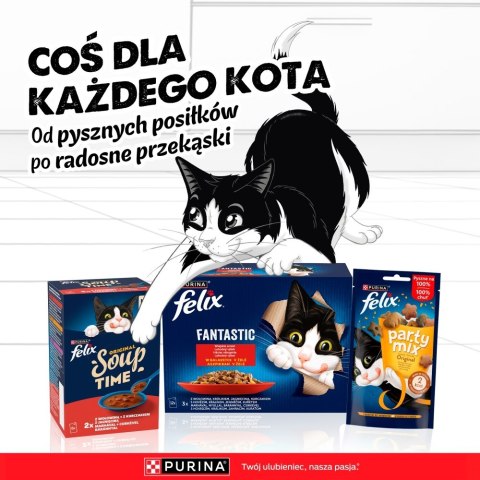 PURINA FELIX AGAIL GiJ MV Bf 44x85g