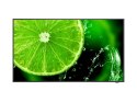 NEC MultiSync E438 Płaski panel Digital Signage 108 cm (42.5") LCD 350 cd/m2 4K Ultra HD Czarny 16/7
