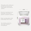 Świeca mała DRIED LAVENDER & OAK YANKEE