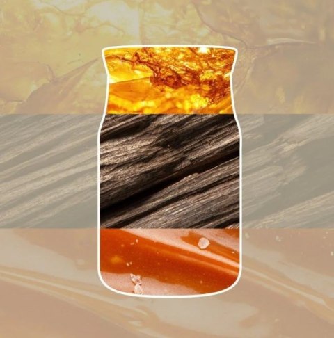 Świeca mała AMBER & SANDALWOOD YANKEE